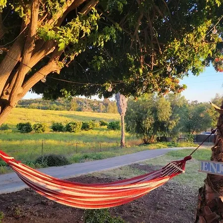 Exotic Gem Relaxing Farm Vibes Near Safari Zoo, Legoland & Wineries Villa